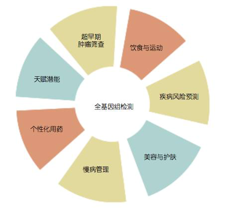 全面体检预约:让您了解自己的健康底牌
